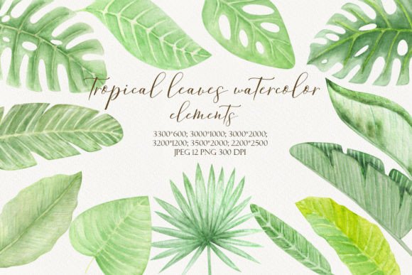 Download Tropical Leaves Watercolor Hand Drawn - Draw Collection