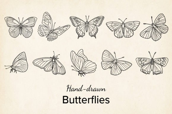 Download Vector Butterfly, Hand Drawn, SVG, PNG - Draw Collection