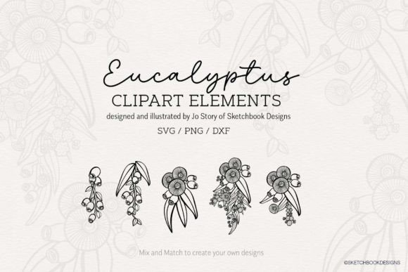 Download Hand-drawn Eucalyptus Clipart SVG - Draw Collection