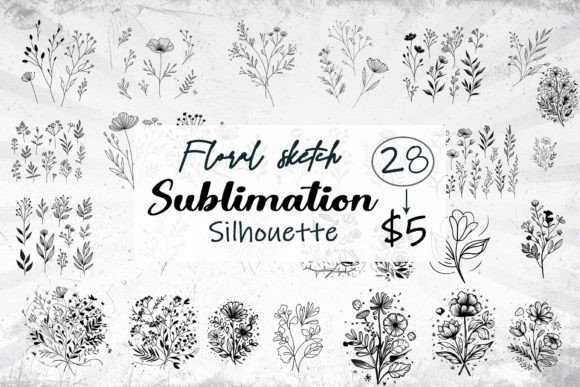 Download Botanical Graphic Floral Sketch Drawing - Draw Collection