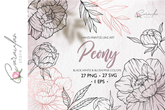 Download Peonies Line Drawing, Floral Line Art - Draw Collection