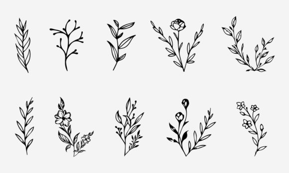 Download Flower Line Drawing Vector Illustration - Draw Collection