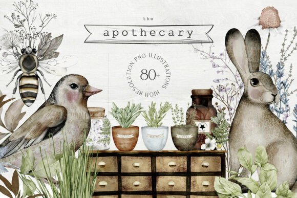 Download Apothecary Hand Drawn Watercolor PNG - Draw Collection