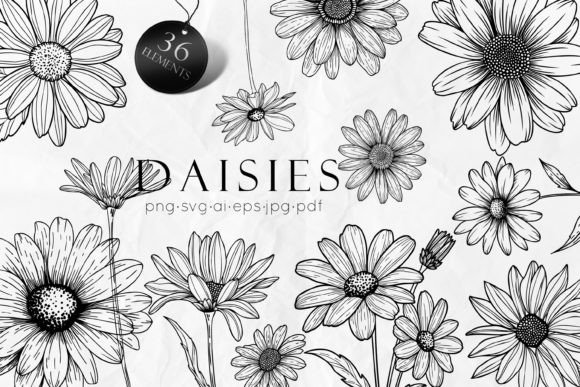 Download Daisy Line Art Drawing SVG - Draw Collection
